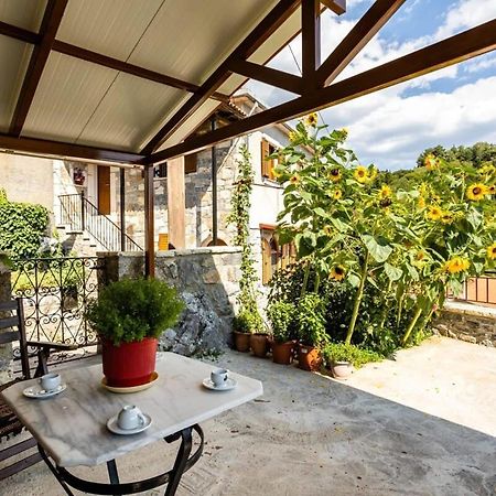 Stemnitsa Stone Residence - Cosy Mountain Escape Esterno foto